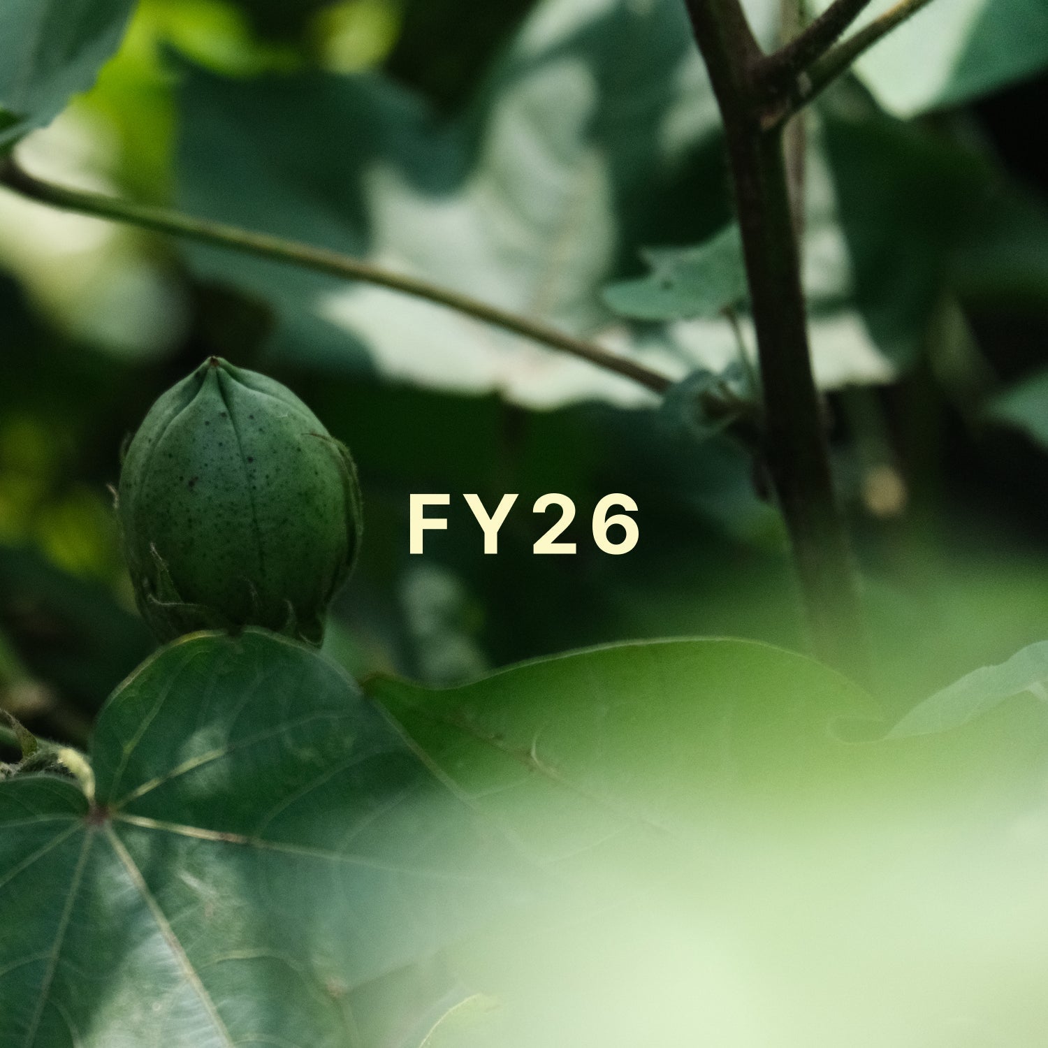 Our Impact Report FY26