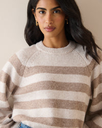 Brown Striped Contrast Trim Jumper