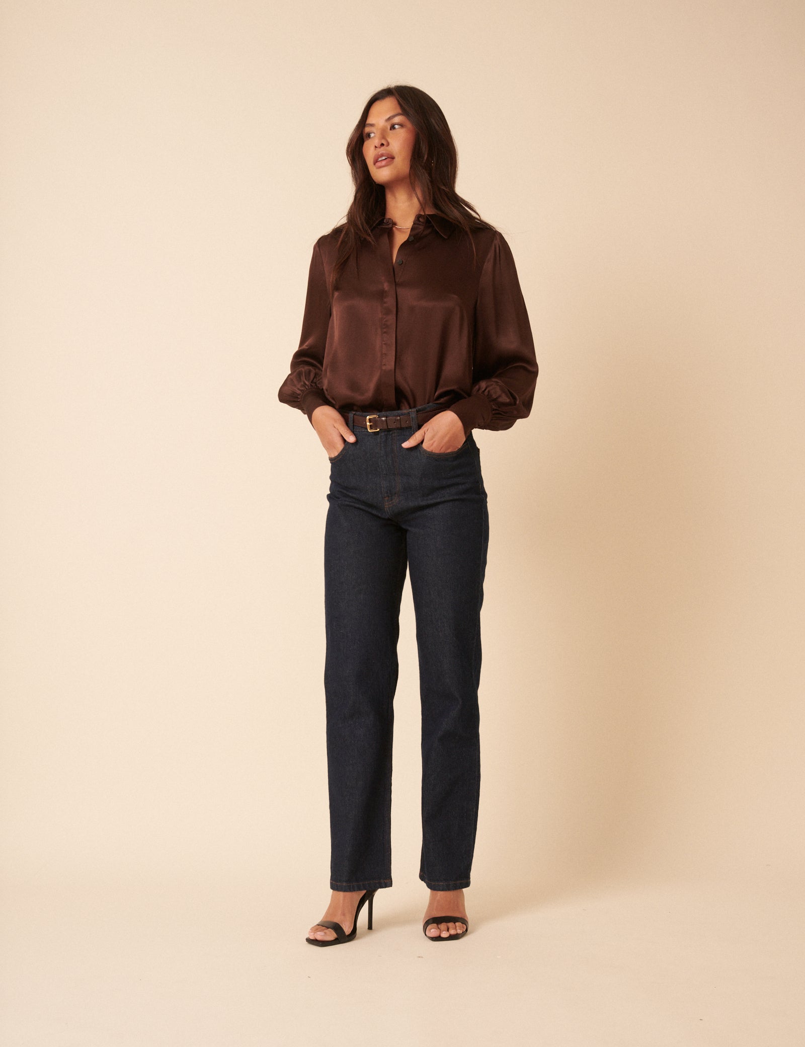 Brown Satin Balloon Sleeve Blouse Brown Satin Balloon Sleeve Blouse