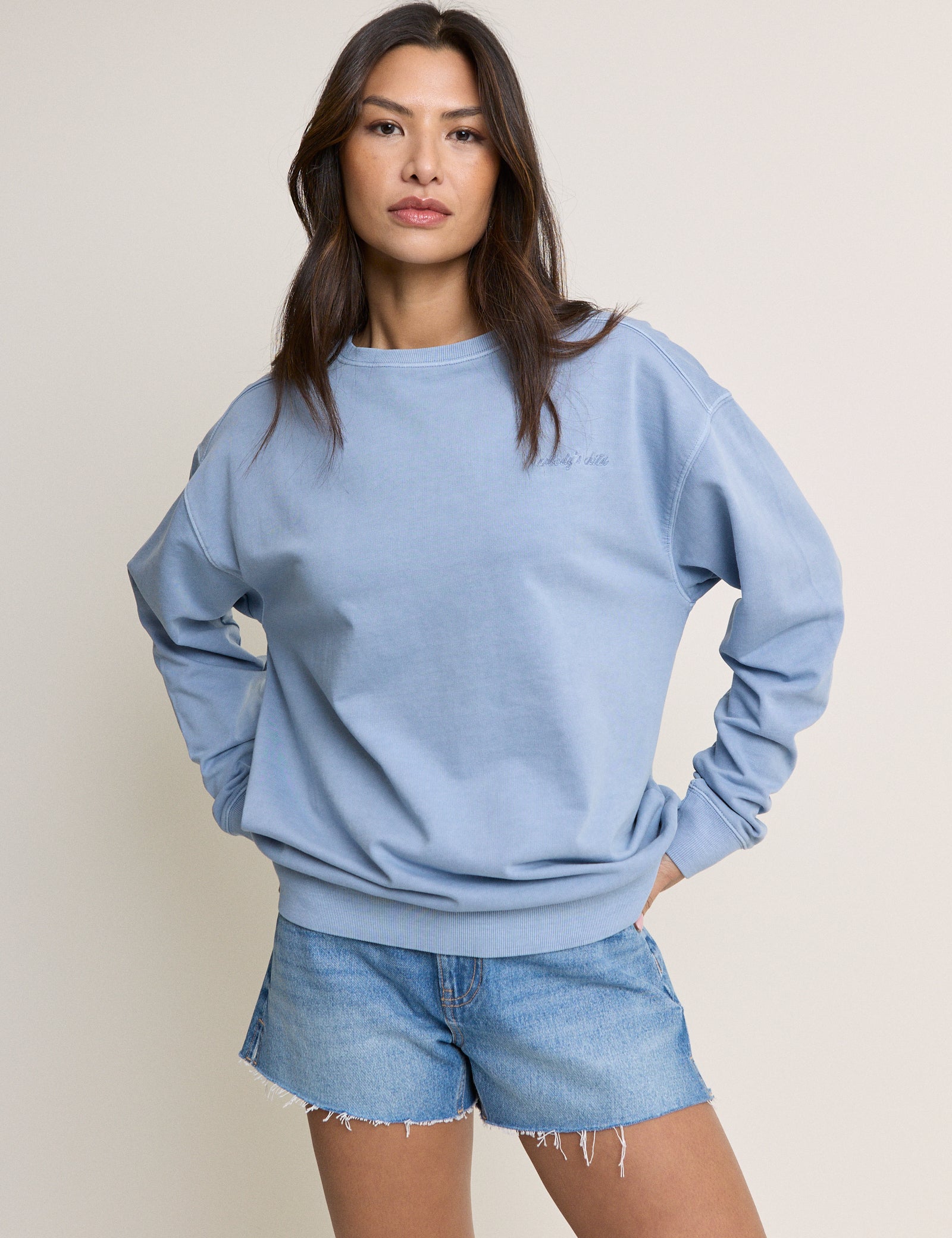 Light Blue Relaxed Fit Sweatshirt
