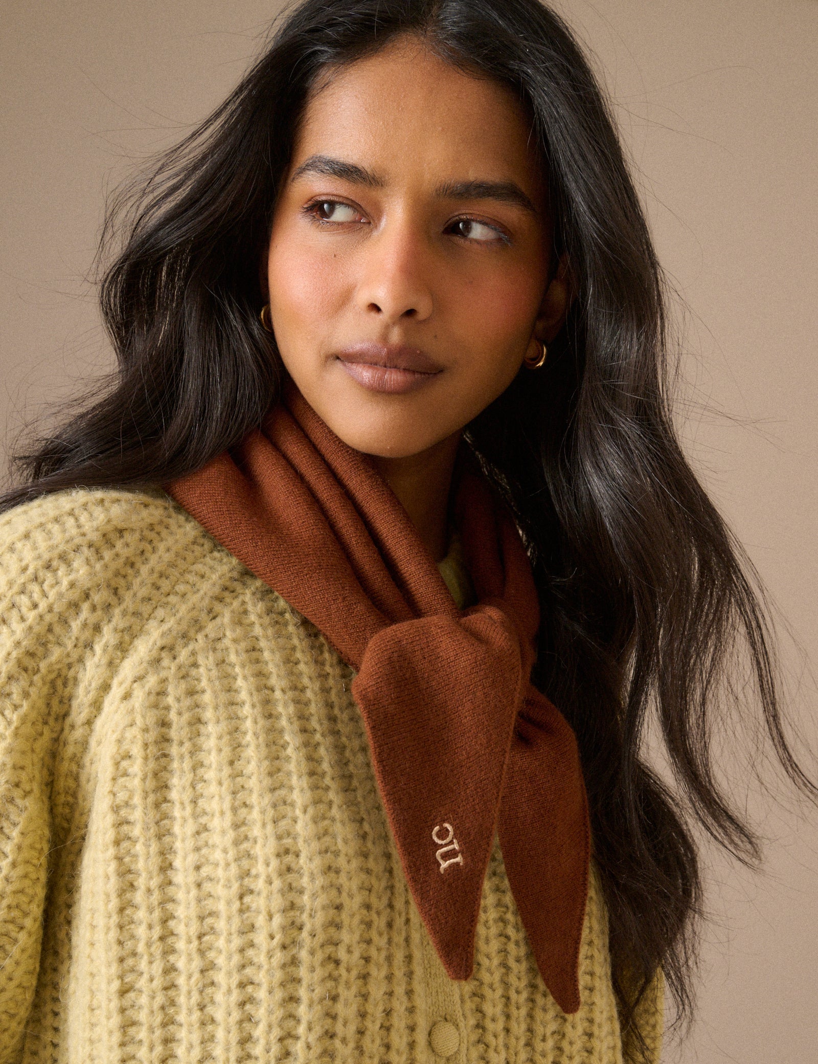 Brown Embroidered Small Triangle Scarf