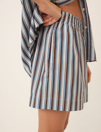 Blue And Brown Striped Shorts