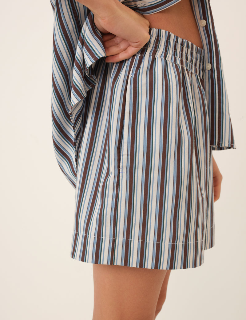 Blue And Brown Striped Shorts