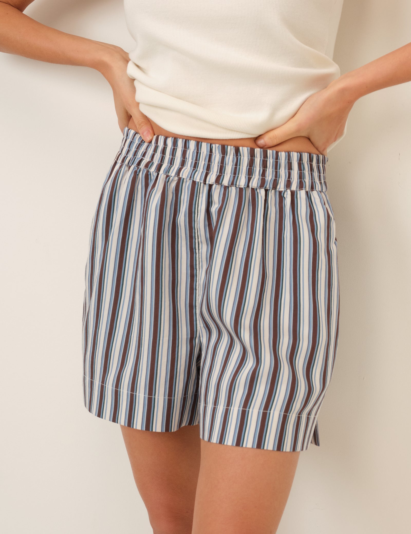 Blue And Brown Striped Shorts