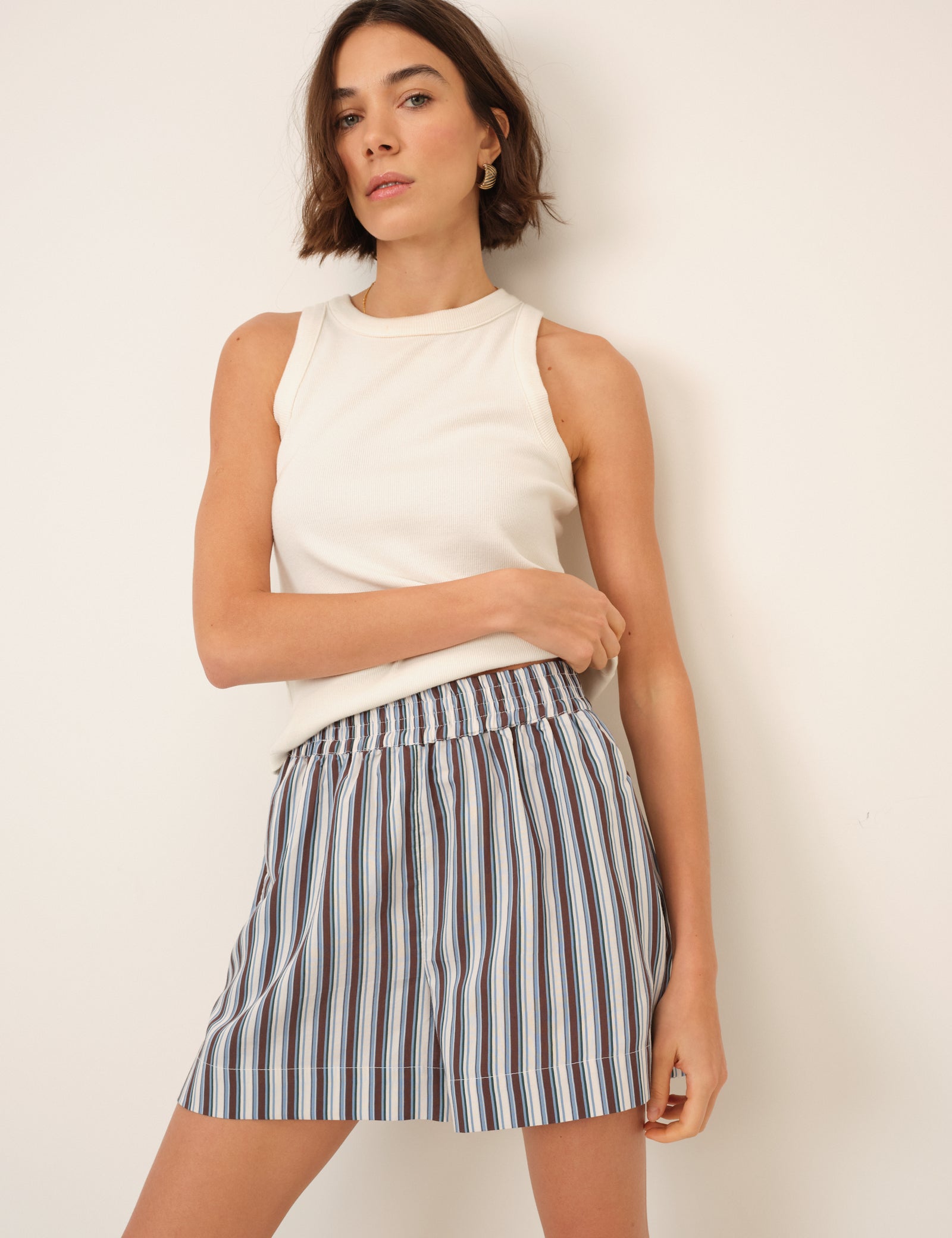 Blue And Brown Striped Shorts