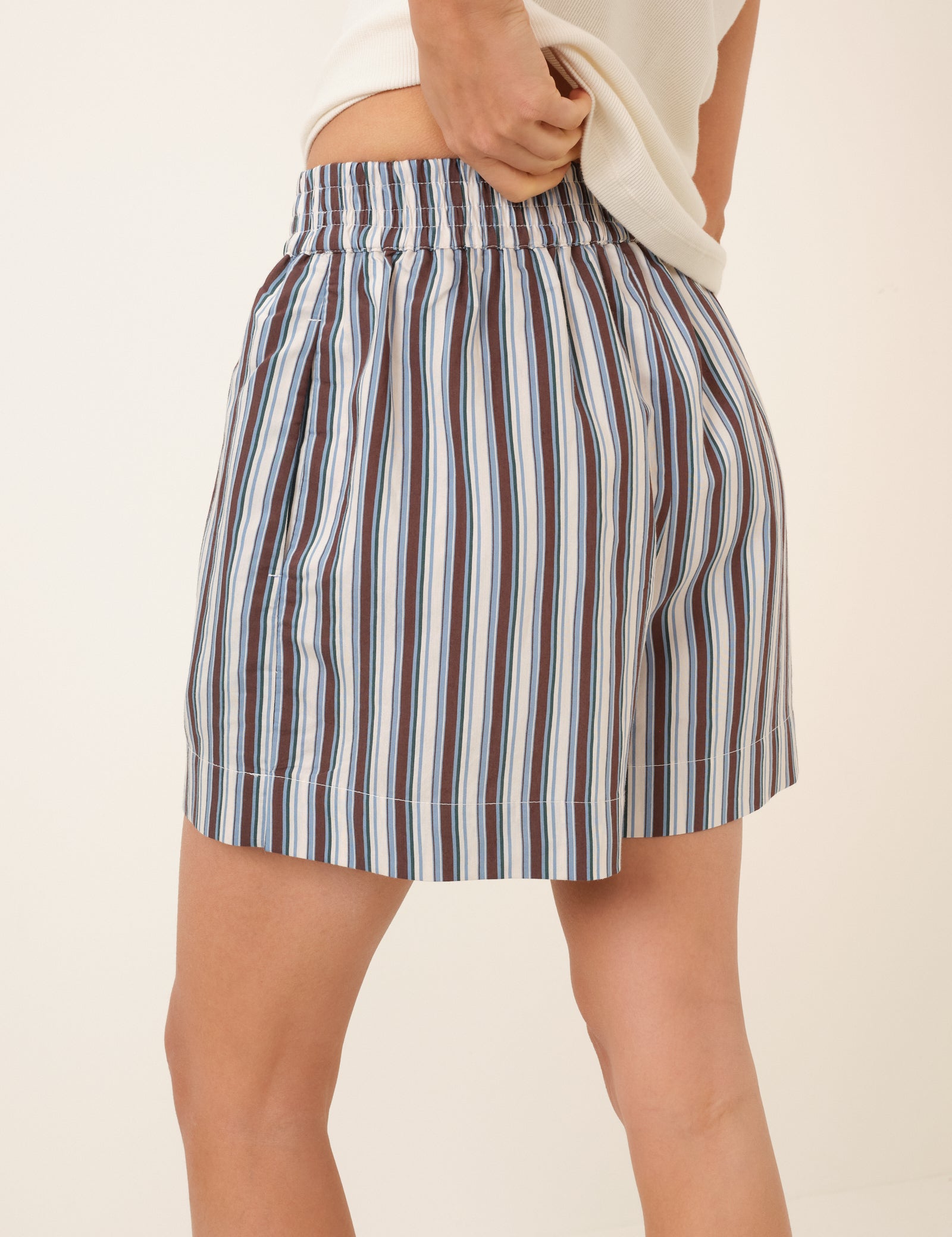 Blue And Brown Striped Shorts
