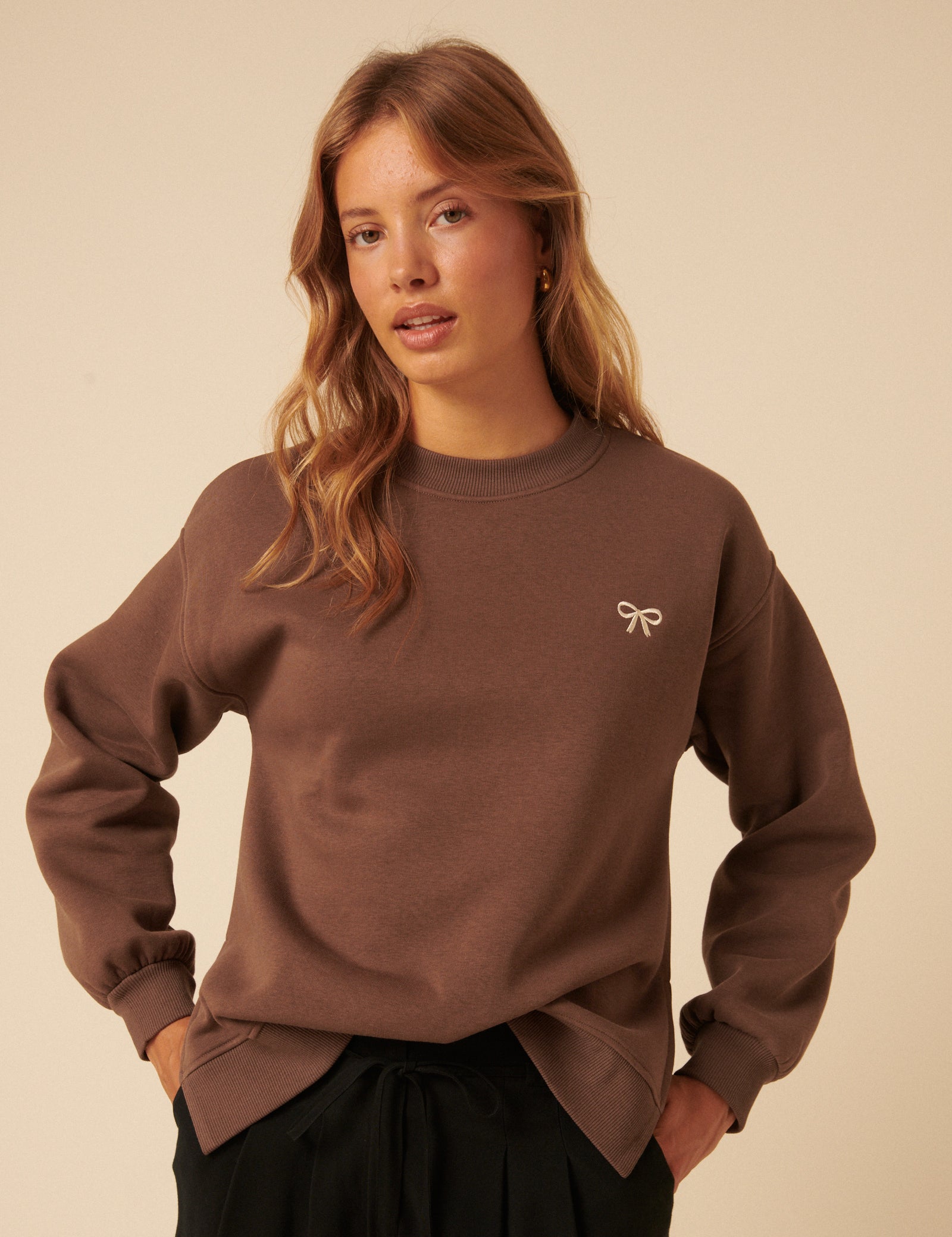 Brown Bow Embroidered Sweatshirt