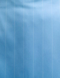 Blue Pinstripe Mini Skirt